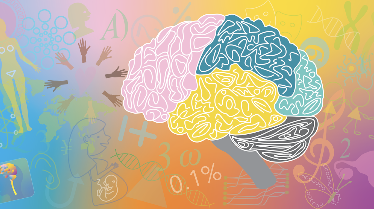 ADHD Prediction screenshot